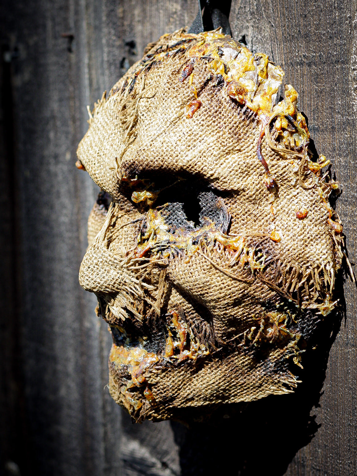 Zombie Scarecrow mask